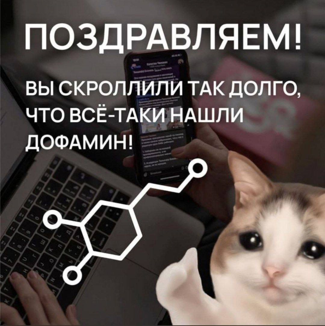 🐸жабья принцесса👑 (@kxiq7u7oc8nsgnc) on Twitter photo 