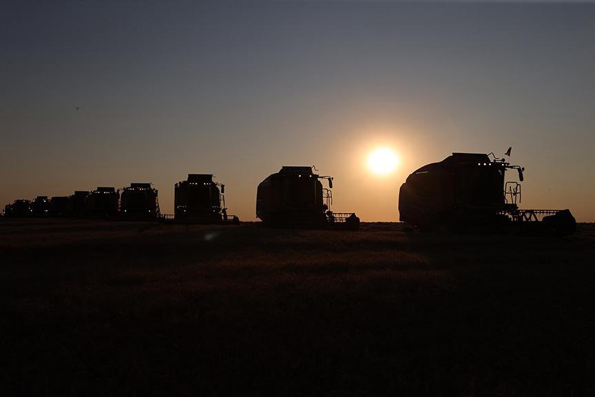 🇹🇷Ülkemizin en önemli tarım ürünlerinden biri olan 🌾 buğdayın tarladaki yolculuğu eşsiz manzaralar eşliğinde sonlanıyor. #Hasat <a href="/tigemgovtr/">TİGEM</a> 

📍Ceylanpınar Tarım İşletmesi