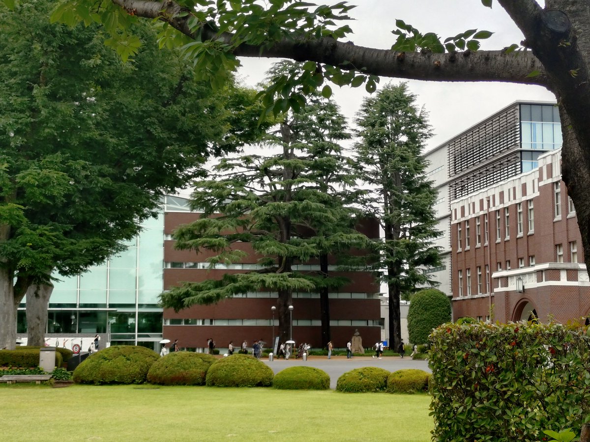 #赤い椅子プロジェクト 、成蹊大学にお邪魔してきました！
有志の学生さんたちからお声掛け頂き「成蹊ピーチプロジェクト」を一緒に盛り上げていこう！ピーチくんを地域のみんなにもっと知ってもらって、吉祥寺を、武蔵野を盛り上げていこう！という作戦会議をしてきました！
#成蹊ピーチプロジェクト