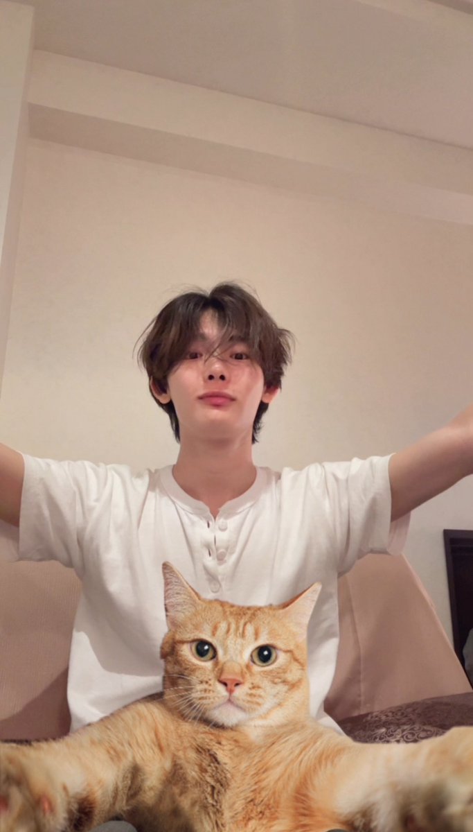 다식이 tweet media