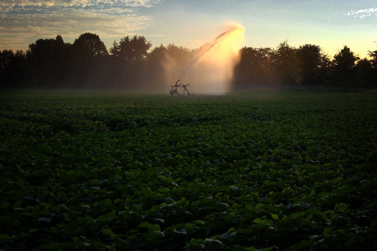 Waterschap Limburg treedt op tegen illegale onttrekking

Waterschap Limburg gaat bestuursrechtelijk en strafrechtelijk optreden tegen landbouwer uit Midden-Limburg die is betrapt op het onttrekken van water uit een niet-geregistreerde put. 

waterschaplimburg.nl/actueel/nieuws…