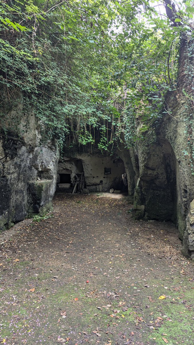 Our fluffy tour guide at the Troglodyte village in Forges wasn't very talkative but was very cute 😂🐱