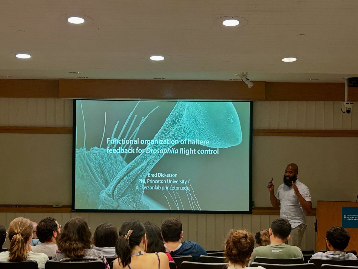 Thank you to Dr. Bradley Dickerson from Princeton University for a wonderful lecture on the circuitry responsible for flight control in Drosophila! 🪰