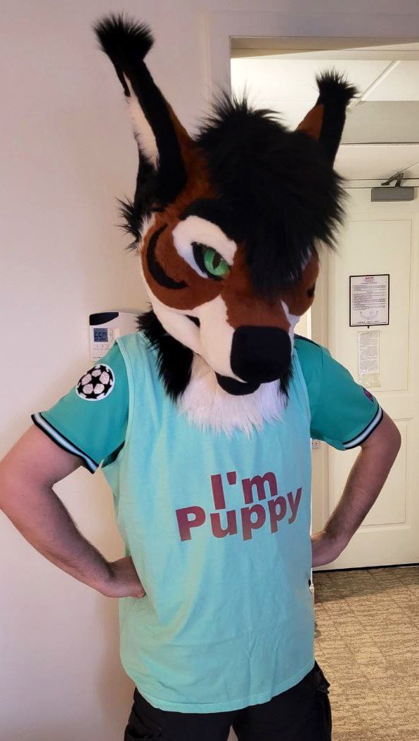 Gonzo @ LVFC tweet media