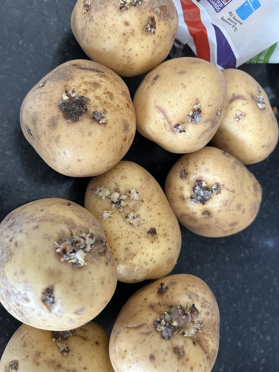 Reggiebell2's tweet photo. Thanks @AldiUK every jacket is rotten and purchased today 
Be getting the veg elsewhere from now on 🤦🏻‍♂️ https://t.co/SvY2Jl2Wph