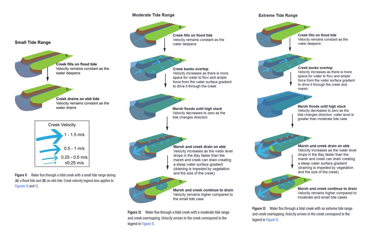 📢Just published by <a href="/UofNO/">University of New Orleans</a>, @USFCA, SF Bay National Estuarine Research Reserve, <a href="/USGS/">USGS</a>, @SFBCDC 📢 - Marsh Sediment in Translation: A Review of Sediment Transport Across a Natural Tidal Salt Marsh in Northern San Francisco Bay ow.ly/qUMB50WgTs7