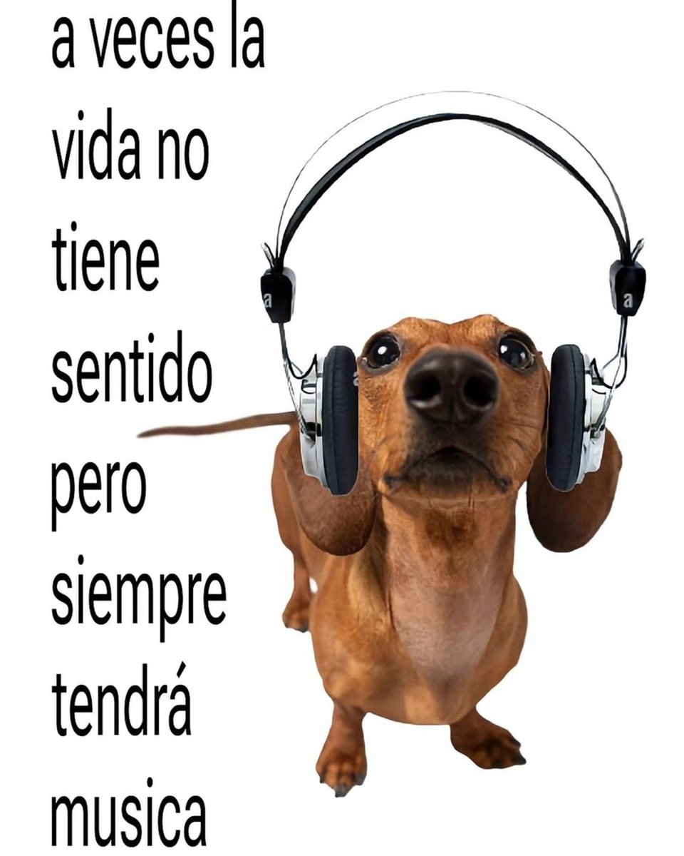 arathxo's tweet photo. gracias dios x la música https://t.co/OR7THAjQWL