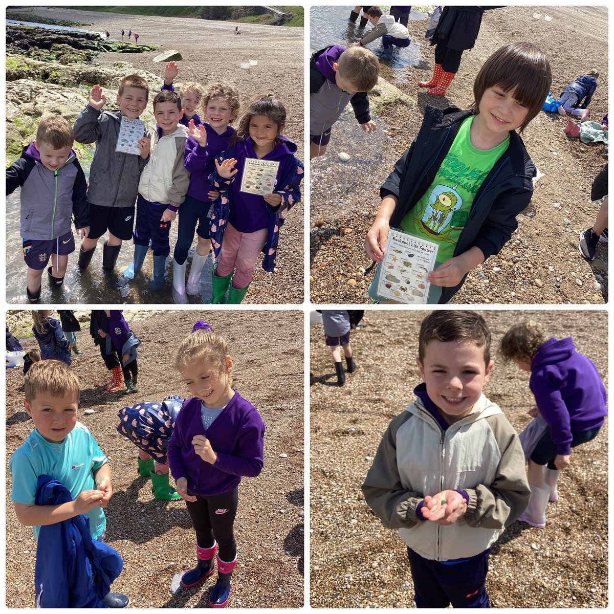 Lingfield Primary tweet media