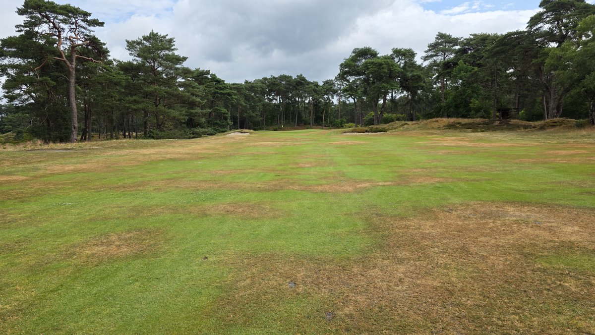 The putting green and a random fairway today at De Pan in Utrecht, Holland. I payed 230 EUR greenfee for this. According to Golf World one of the best value courses for money you can play in Continental Europe, they really write that.