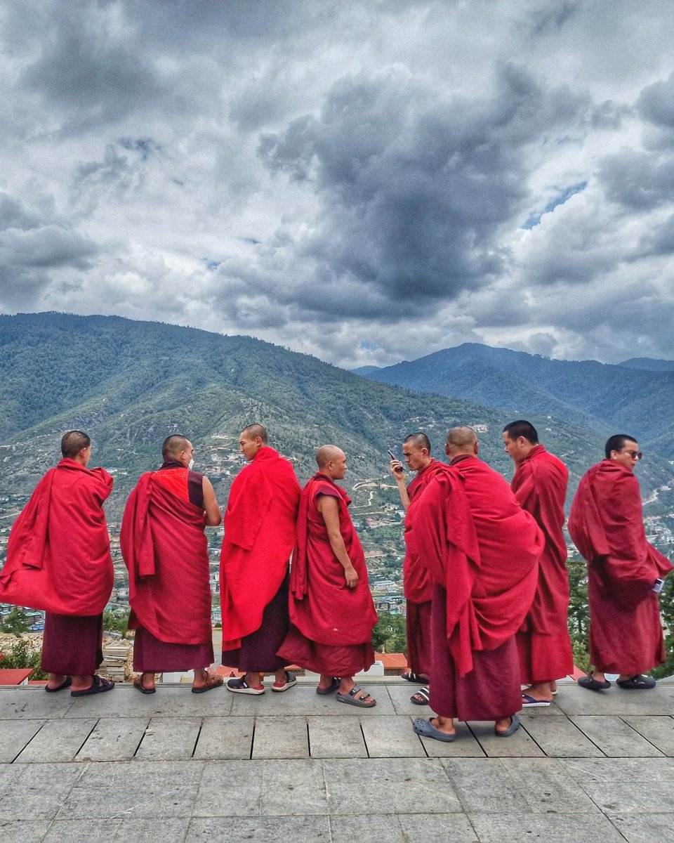 Evolution Travel tweet media