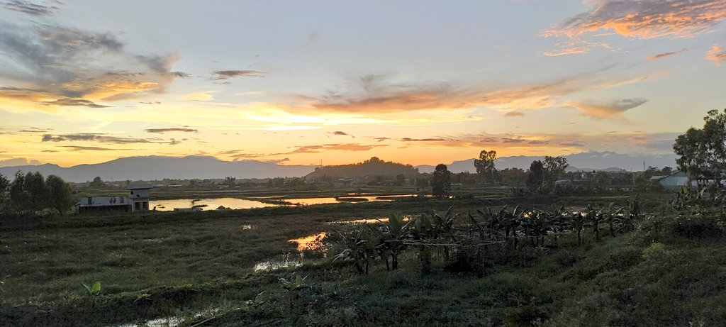 liftyouverymuch's tweet image. It's a bee-yoo-tee-full day - and it's pineapple season!

#Manipur #Weekday