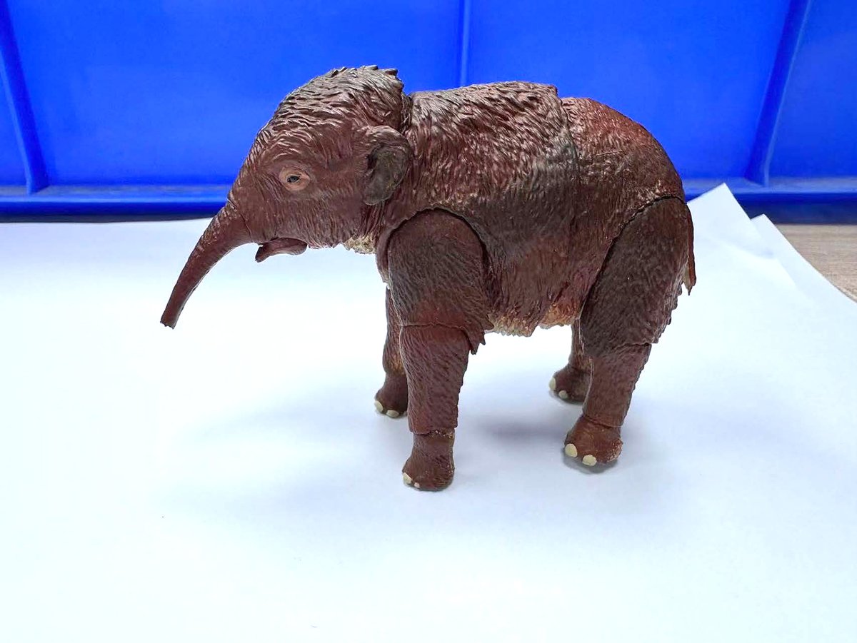 Beast_SculptKit's tweet image. Fresh from the factory, we have our first look at the new Mammoth paint samples! (The prototypes are noted by the P.M. designation.) I&apos;ll have these in hand next week, but they&apos;re looking good so far. More photos coming soon with the next BackerKit update!