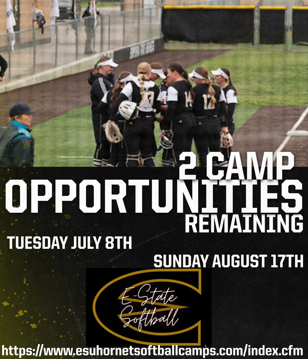Join us for one of our final summer camps! Both camps include a campus tour! See you there! #StingersUp 

esuhornetsoftballcamps.com/index.cfm