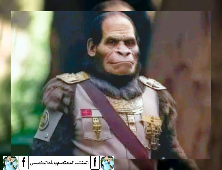 من يشبه بصدق.....؟