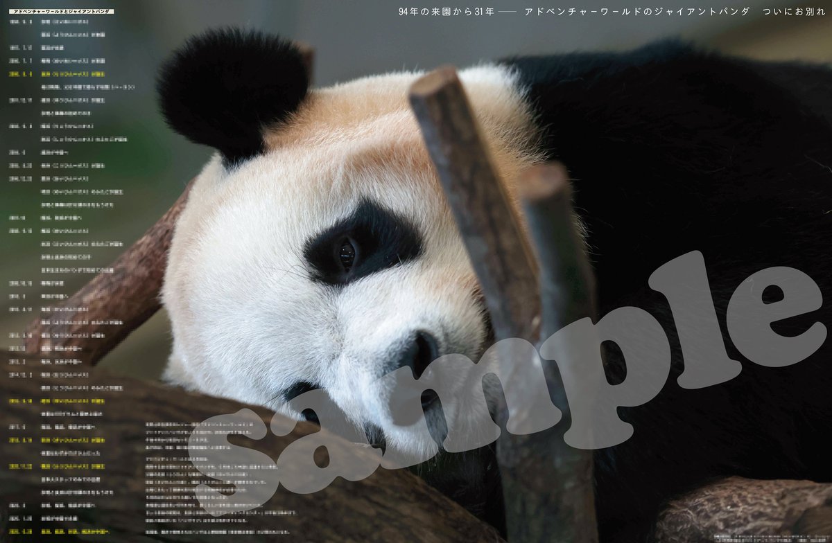 本日27日のニッカンは「パンダありがとう写真特集」をカラーで4ページ