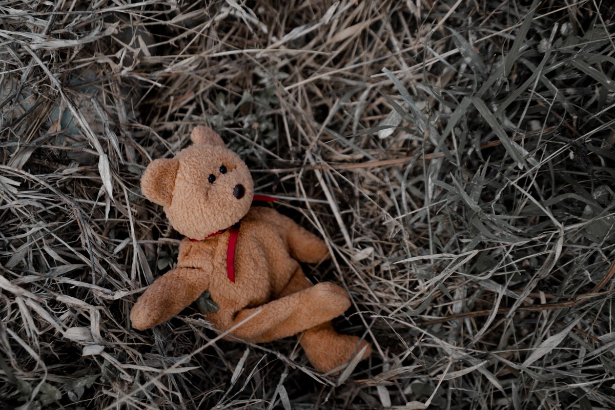 GTLOpgh's tweet image. Where does lead hide?
🖌️ Old paint
🚰 Pipes &amp;amp; plumbing
🏞️ Soil &amp;amp; dust
🧸 Imported toys
🍽️ Ceramics
💄 Some cosmetics

Lead exposure is often invisible — but the damage is real.
📍 Learn more: gettheleadoutpgh.org
#GetTheLeadOutPGH