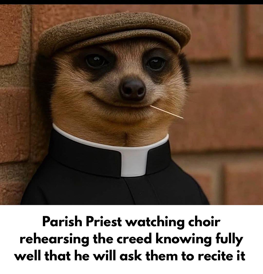 Fr. James A (Faith-Chat Platform) tweet media