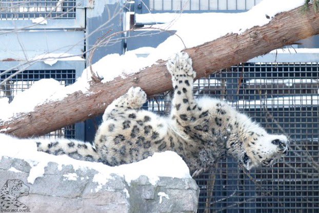 I am just a new boy
A stranger in this town
Where are all the good times
Who's gonna show this stranger around?