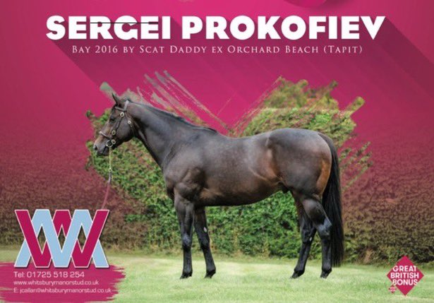 Whitsbury Manor Stud (@whitsburymanor) on Twitter photo 🥇2yo winner for SERGEI PROKOFIEV 🥇
“Brisk Symphony” becomes the 6th
individual 2yo winner for her sire.
Congratulations to her connections <a href="/jportmanracing/">Jonathan portman</a> 🥇2yo winner for SERGEI PROKOFIEV 🥇
“Brisk Symphony” becomes the 6th
individual 2yo winner for her sire.
Congratulations to her connections <a href="/jportmanracing/">Jonathan portman</a>