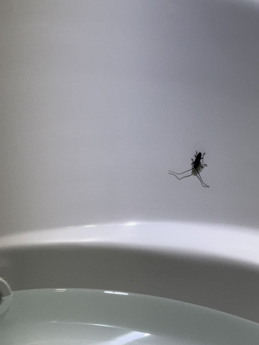 FELICITY tweet media