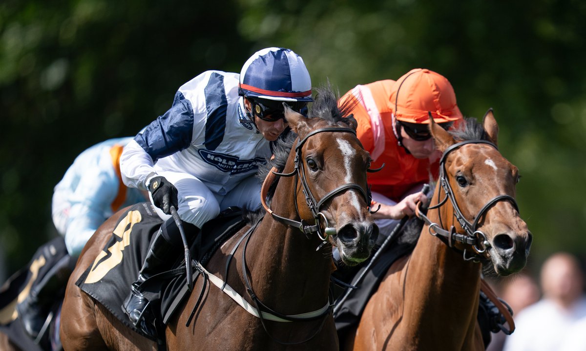 Racing Post Bloodstock tweet media