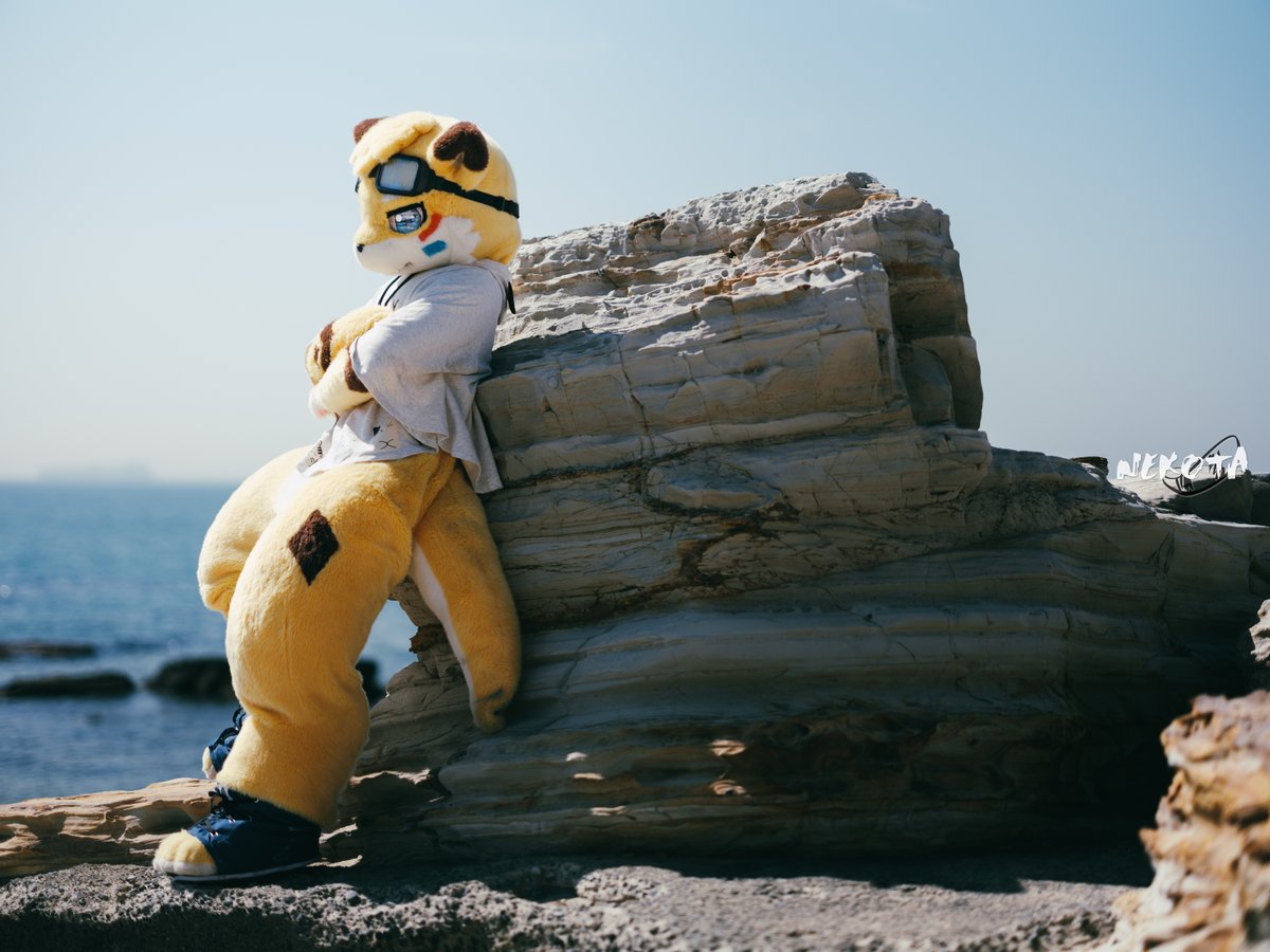 📸:<a href="/hinekota/">ネコタ@NEKOTA➡UTFG</a>

#FursuitFriday
#キャラの横顔選手権