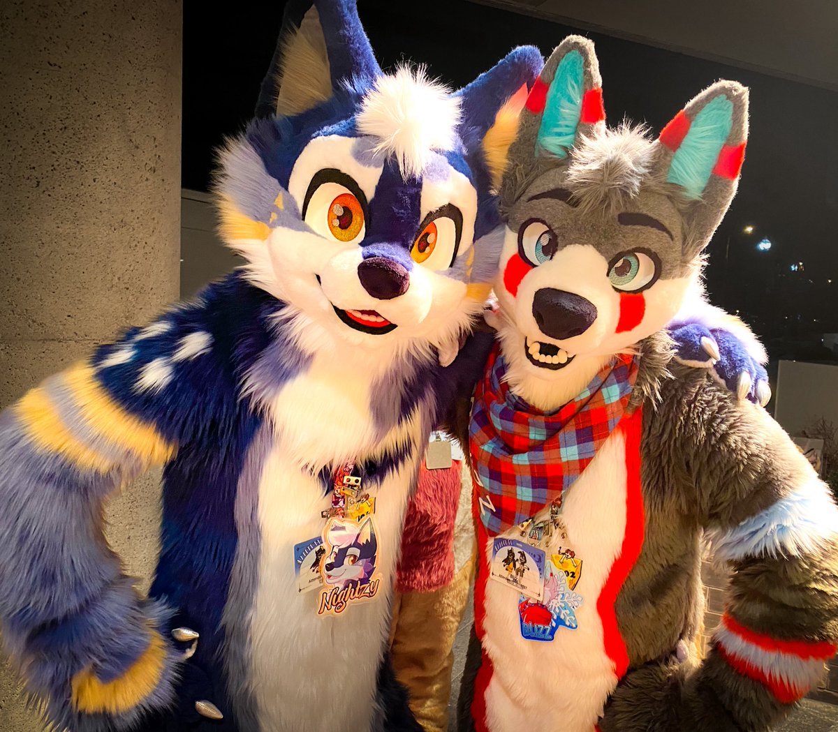 BlizzTheWolf's tweet image. Just a couple of dog bois 🐶✨

📸: HardCidr16Bit