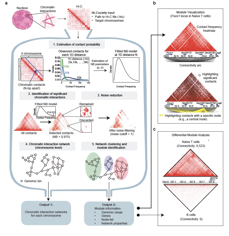golnaz_v's tweet image. 🚨 New #preprint alert! We're excited to share the latest work from the brilliant Sora Yoon: "Inference of multi-enhancer interactions in T lymphocytes using Hi-Cociety" biorxiv.org/content/10.110…
