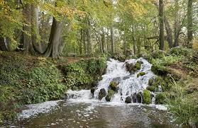 billclear45's tweet image. Great news Deburgs Wood will be open tomorrow, Saturday and Sunday 9am to 5 pm
From next Thurs it will be open Thursday to Sunday 9am to 5 pm.
No ticket required just walk in.