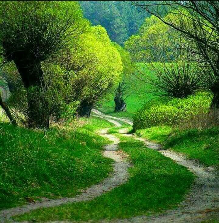 Maria Hos tweet media