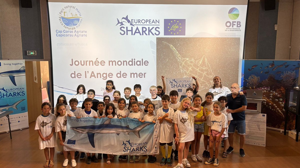 European Sharks - a LIFE project (@lifeeusharks) on Twitter photo It’s #AngelsharkDay! 🦈
We celebrate one of the Med’s most elusive and threatened #sharks.
In Corsica, our partner <a href="/OFBiodiversite/">Office français de la biodiversité</a> (Parc Marin Cap Corse-Agriate) involves fishers, kids & citizens to protect its last stronghold in France.
#LIFEEUSharks #LivingTogether #Angelshark It’s #AngelsharkDay! 🦈
We celebrate one of the Med’s most elusive and threatened #sharks.
In Corsica, our partner <a href="/OFBiodiversite/">Office français de la biodiversité</a> (Parc Marin Cap Corse-Agriate) involves fishers, kids & citizens to protect its last stronghold in France.
#LIFEEUSharks #LivingTogether #Angelshark