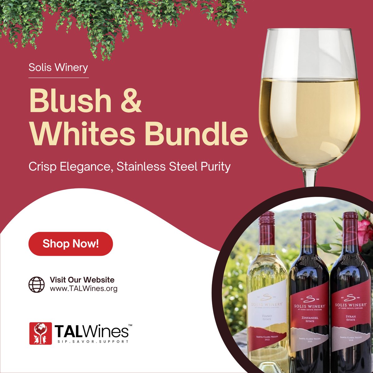 TalWines's tweet image. Crisp Chardonnay, aromatic Fiano, and vibrant Vino Ròseo — the Blush &amp;amp; Whites Bundle is a stainless steel-crafted trio celebrating freshness, elegance, and modern winemaking. 👉 bit.ly/3G6CtM1

#whitewine #roséwine #blushandwhites #winebundle #stainlesssteelwines