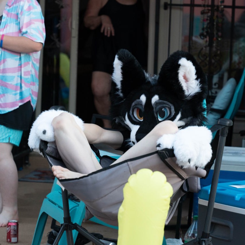 fallcatjake's tweet image. guard dog lifeguard dog duty