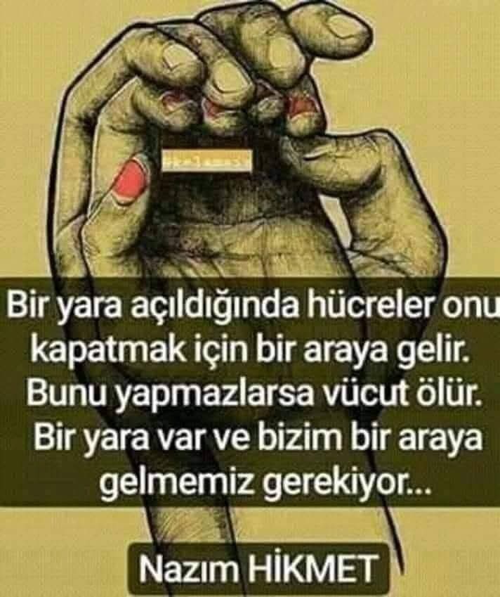 Altına imzamı attım.