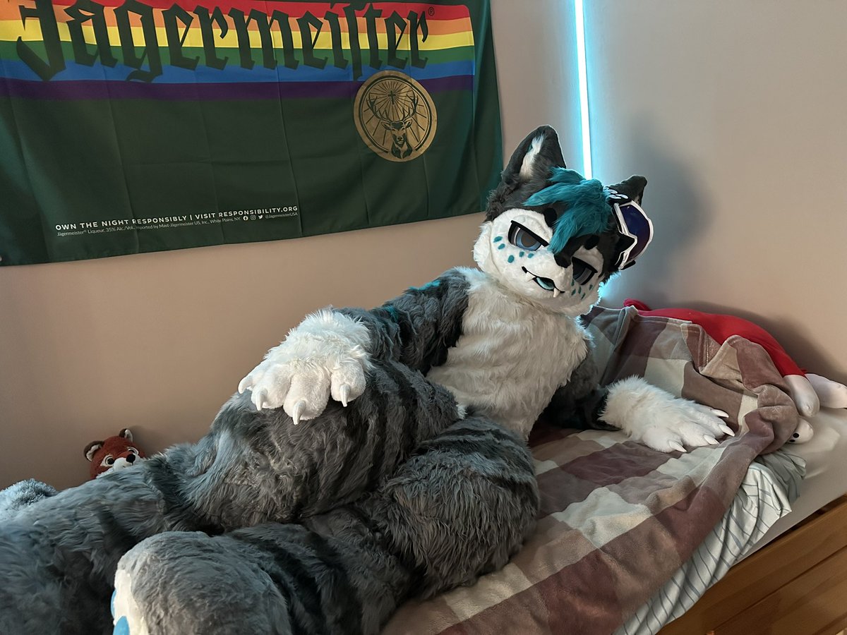 WhitePanther (@whitepanth3r99) on Twitter photo Hiii everyone ๐ฉต๐โจ
My baby arrived today and it made my whole week. He is such a fluffy boyo~ ๐ฉต
Wanna hug me?
Just a little fun time ๐ฉต #FursuitEveryday #furry
๐ท <a href="/Electr0_m0nster/">Electro_monster</a>
๐ชก <a href="/cuiliyan331/">Umi Fursuit ์ ๋ฏธ ํผ์ํธ ๊ณต๋ฐฉ</a> Hiii everyone ๐ฉต๐โจ
My baby arrived today and it made my whole week. He is such a fluffy boyo~ ๐ฉต
Wanna hug me?
Just a little fun time ๐ฉต #FursuitEveryday #furry
๐ท <a href="/Electr0_m0nster/">Electro_monster</a>
๐ชก <a href="/cuiliyan331/">Umi Fursuit ์ ๋ฏธ ํผ์ํธ ๊ณต๋ฐฉ</a>