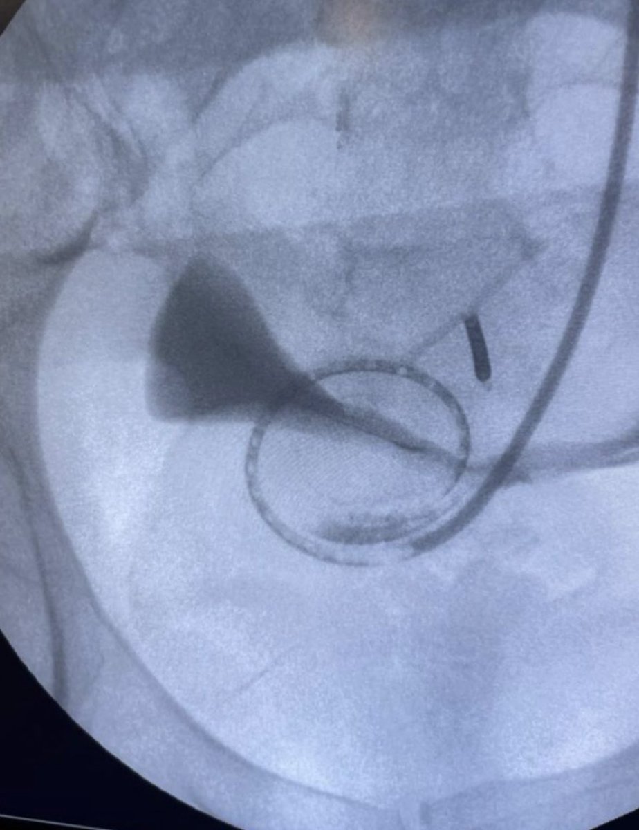 BORIS GONZALES tweet media