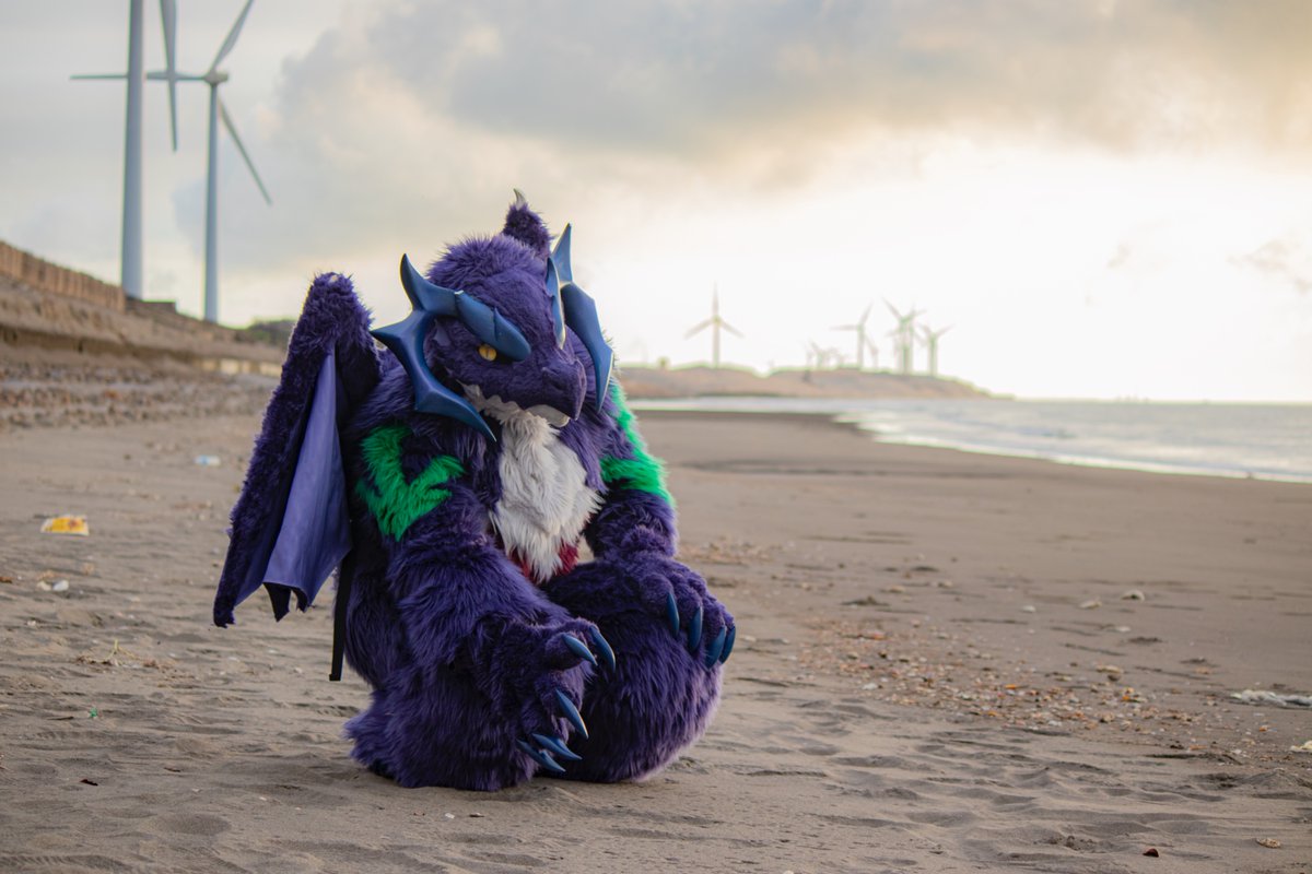 Rukatheknight's tweet image. Oh ! A shell !
📷:江米
#FursuitFriday #Furry #Dragon
