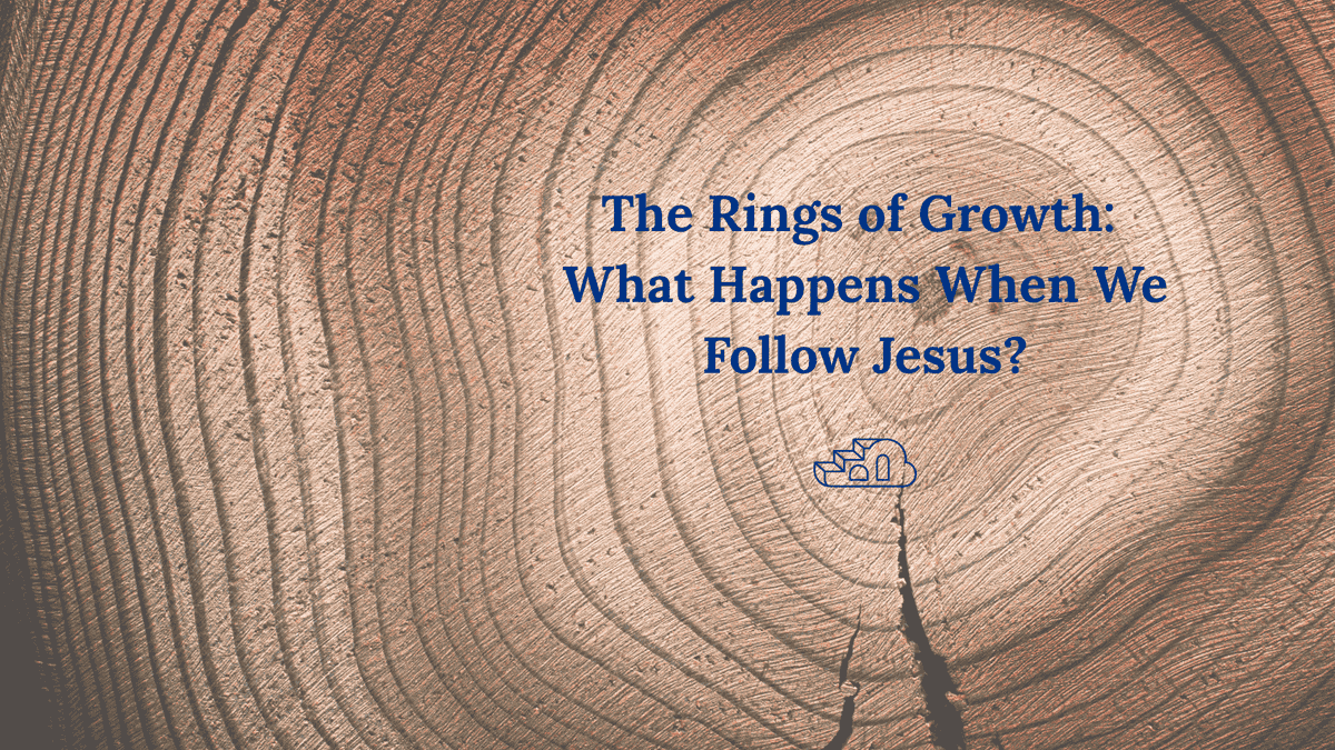 Jeff Meyer tweet media