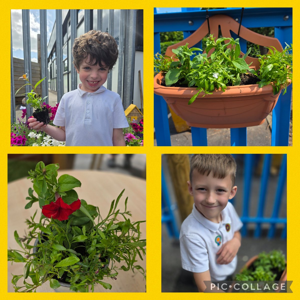GrangeMrsK's tweet photo. We've had a busy afternoon in the Resource Provision.  We have been planting seeds and flowers to enhance our outdoor area.  We can't wait to see what wildlife we attract! 🐝🦋🐞 @GrangeMissA @GrangeMrsMcG https://t.co/E8zFAfTs2A