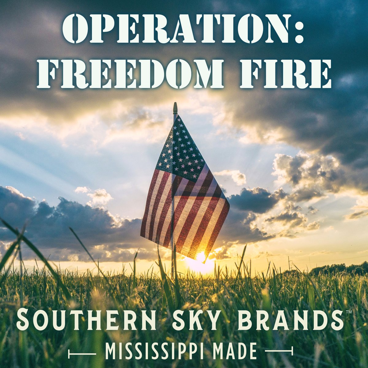 SouthernSkyWell's tweet image. Be sure to ask us about Operation: Freedom Fire. 

We salute our nation’s veterans. Thank you.

#Mississippi

📍 422 Riverwind Dr, Ste.C, #PearlMS

⏰ 9am-7pm, Mon-Sat
Sunday 12-5pm