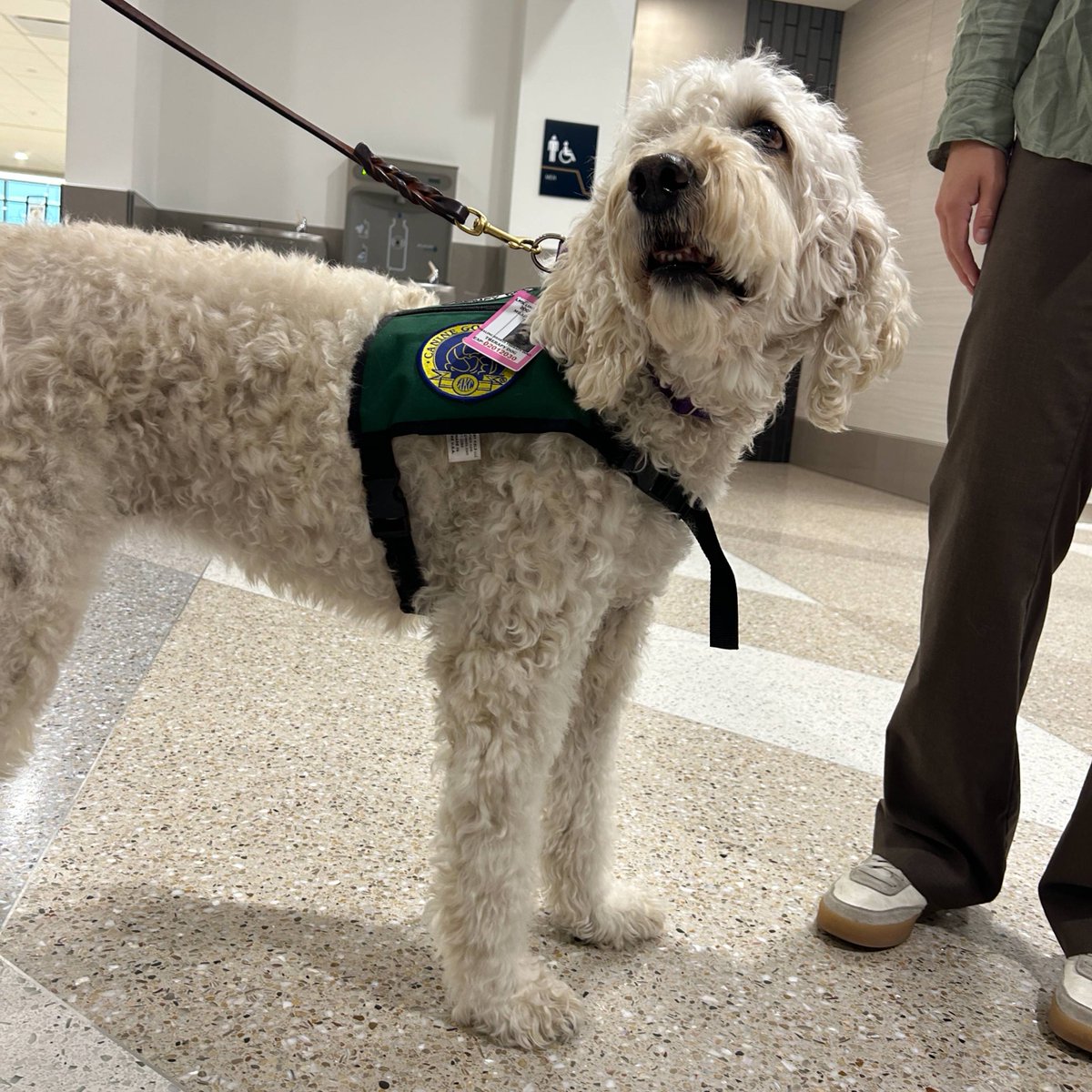Lincoln Airport tweet media