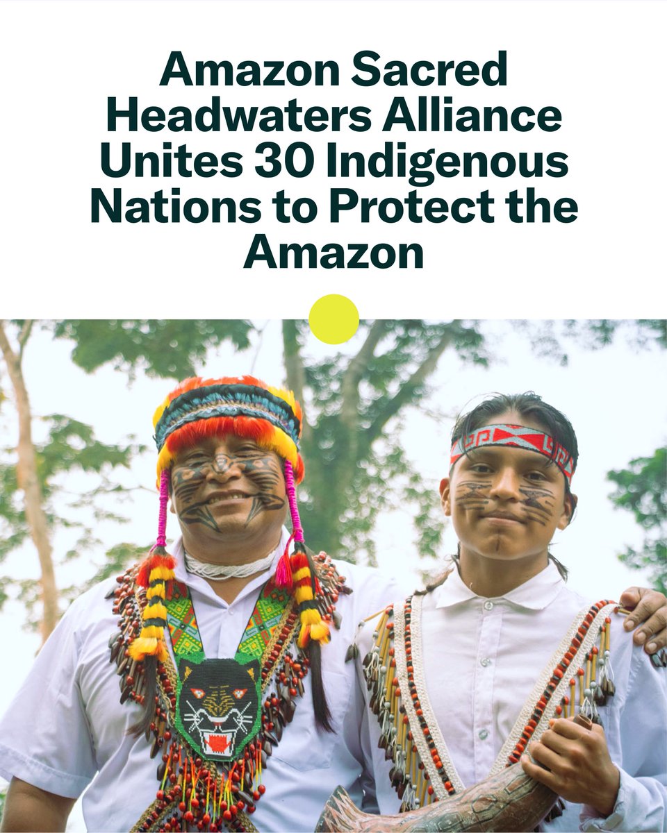 The Amazon Sacred Headwaters Alliance (ASHA) unites 30 Indigenous nations to protect 35M hectares of rainforest in Ecuador &amp; Peru. 

With land rights, conservation, and youth leadership programs, ASHA proves Indigenous-led action is key to saving the Amazon.