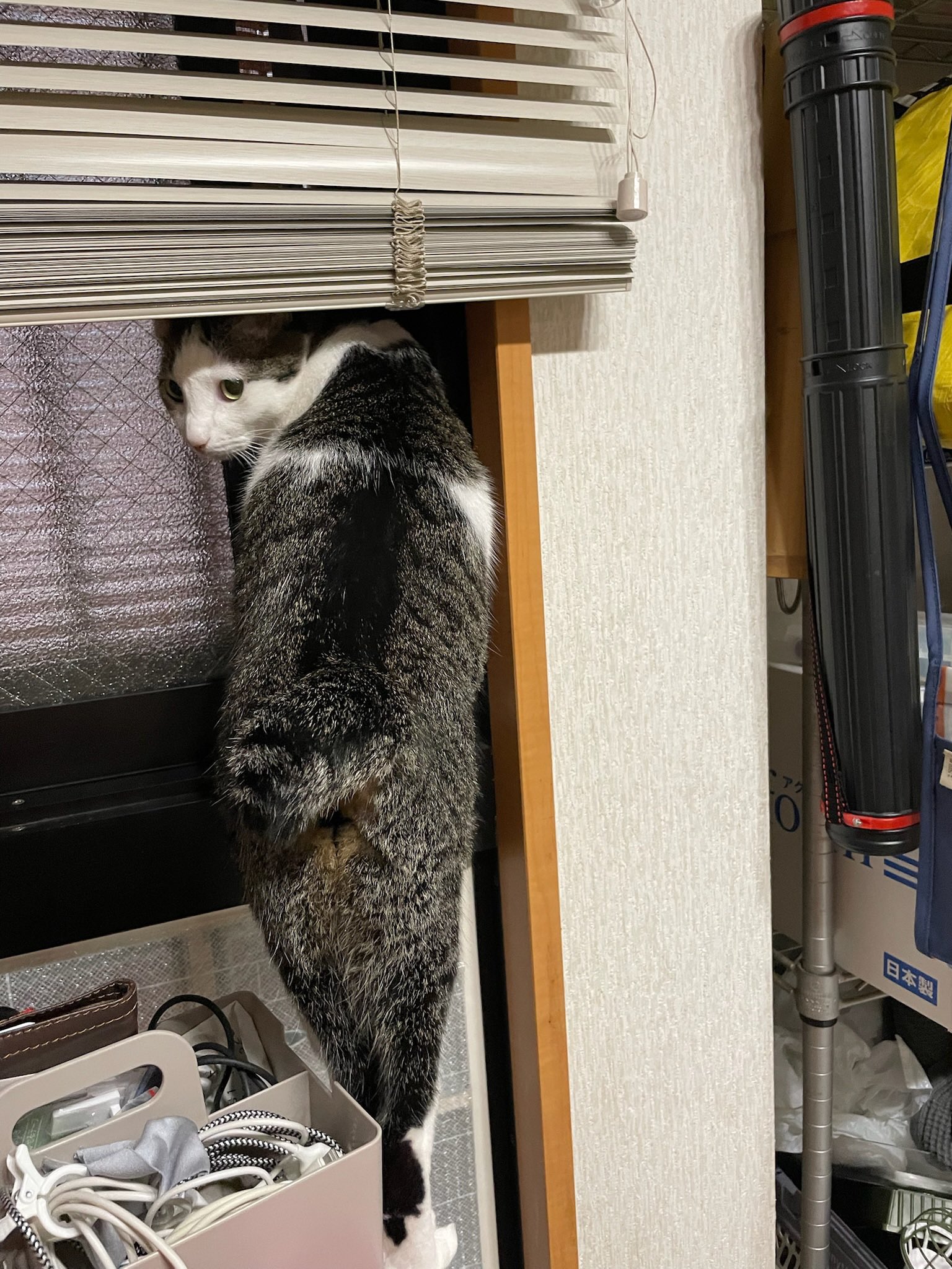 さねあつ on X: 