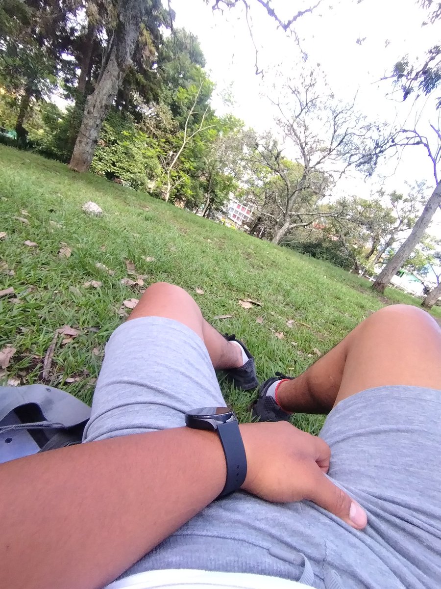 Alexander tweet media