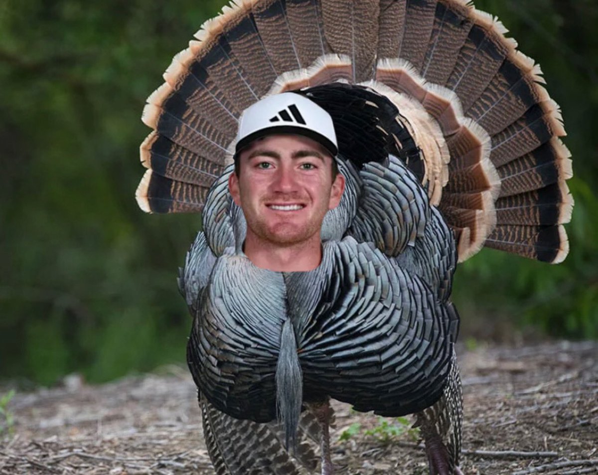PGATURKEYTRACK's tweet photo. Nick Dunlap - Holes 4-6 ๐ฆ #RocketClassic #TurkeyTracker https://t.co/xXeKWjM9D6