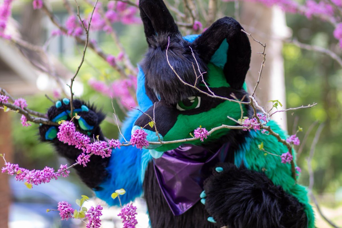 It’s that time of the year where all the flowers have bloomed and they smell so good! Now I just wish this heat would dissipate! 🥵🥵