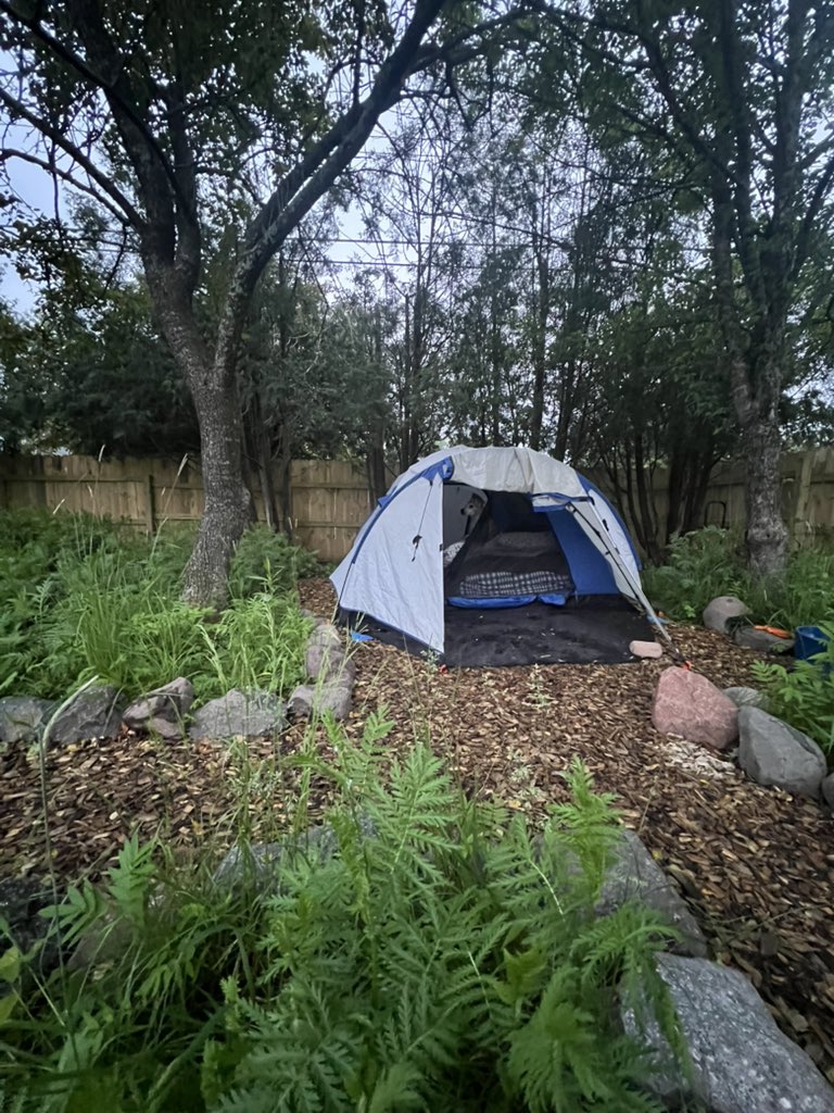 chrisplys's tweet image. Milhouse is now our backyard tent boy. 🖤