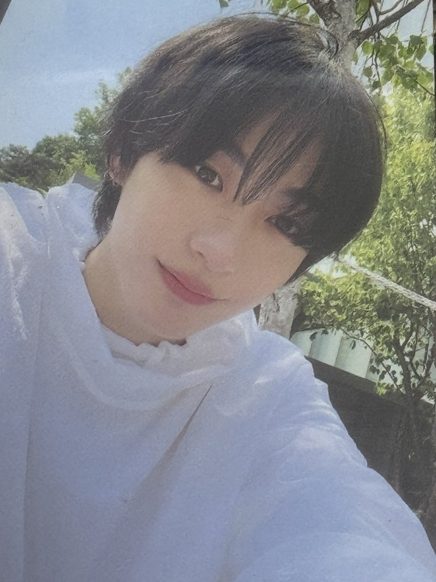 햇차 tweet media