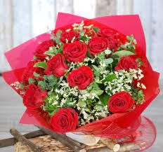 Leo Kimura (@leokimura579162) on Twitter photo 