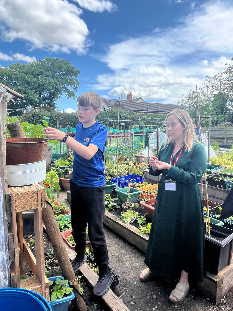 SychdynSchool's tweet photo. Our school farm @SychdynFarmClub has been running now for over 2 years and it was lovely to have the opportunity to show @becky_gittins the fruits of our labour 🍅🫛🥒🍓🍒🍏James and his young farmers are just brilliant 😊 @leaderlive @northwaleslive https://t.co/KR8wGvicfS